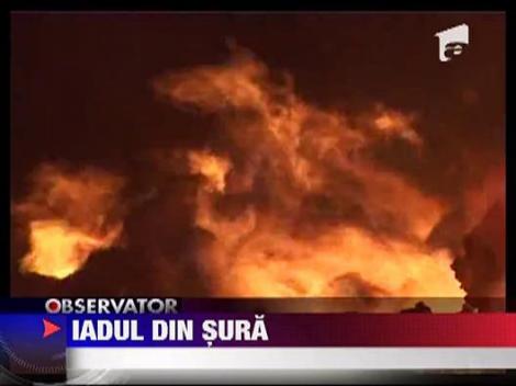 Incendiu puternic in Constanta: mii de baloti de lucerna au fost mistuiti de flacari