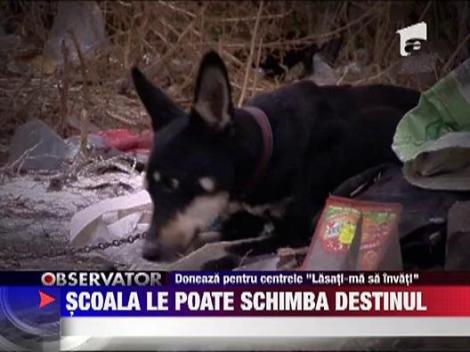 LASATI-MA SA INVAT! Scoala le poate schimba destinul