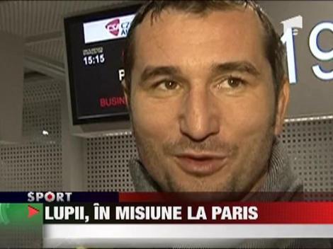 Lupii au plecat la Paris, sa dea piept cu Stade Francais in Challenge Cup