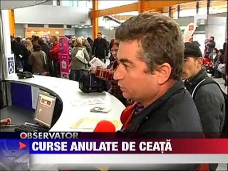 Curse aeriene anulate de ceata