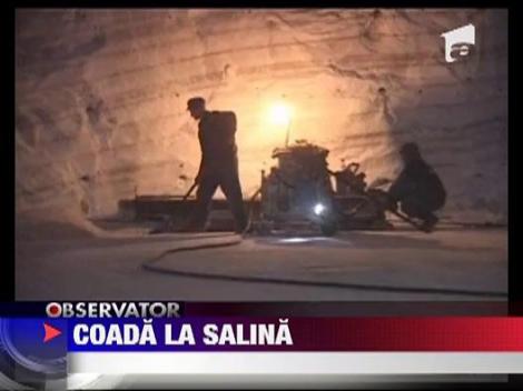 Coada la minele de sare