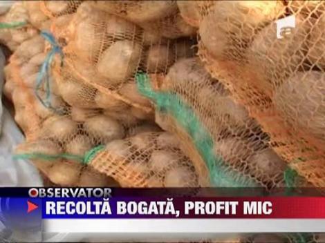 Recolta bogata, profit mic