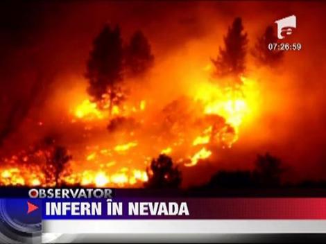 Zeci de case arse din cauza unui incendiu de vegetatie