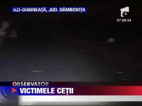 Impact devastator pe o sosea din Dambovita