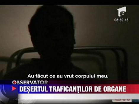 Africanii care incearca sa traverseze Desertul Sinai, ucisi pentru organe