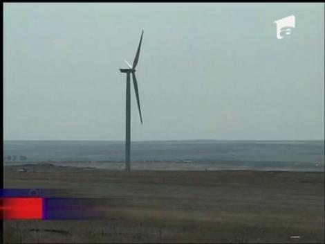 Statul ar putea sa deconteze turbinele eoliene