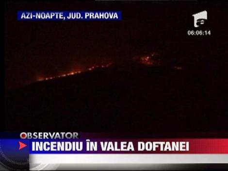 Incendiu de vegetatie in  Valea Doftanei