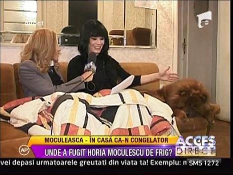 Mariana Moculescu ingheata in casa