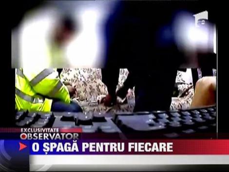 Imparteau spaga frateste