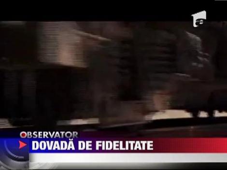 Un patruped isi asteapta de 3 luni, intr-o statie de autobuz, stapanul care l-a abandonat