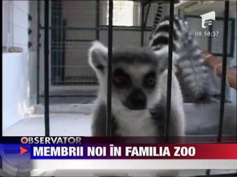 Gadina Zoologica din Sibiu are locatari noi