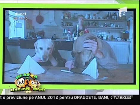 Doi caini intr-un restaurant de lux