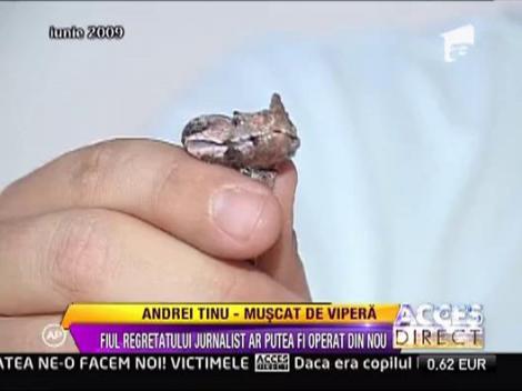 IMAGINI SOCANTE! Vezi cum l-a muscat o vipera pe Andrei Tinu