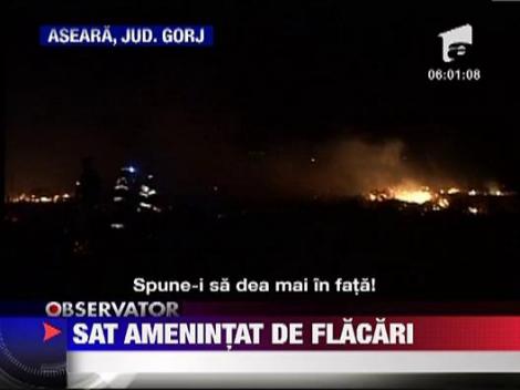 Incendii de vegetatie uscata in Gorj