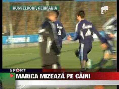 Marica mizeaza pe Dinamo
