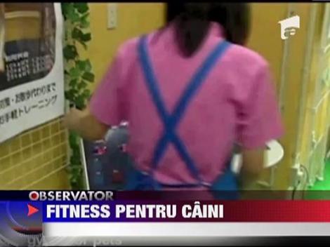 Fitness pentru caini