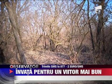 Alatura-te si tu campaniei "Lasati-ma sa invat"