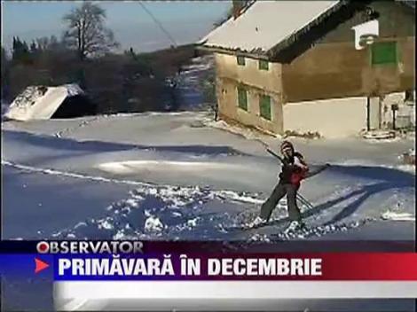 Primavara in decembrie