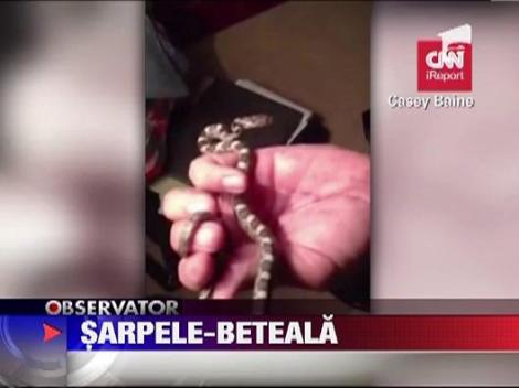 Povestea sarpelui "Beteala"