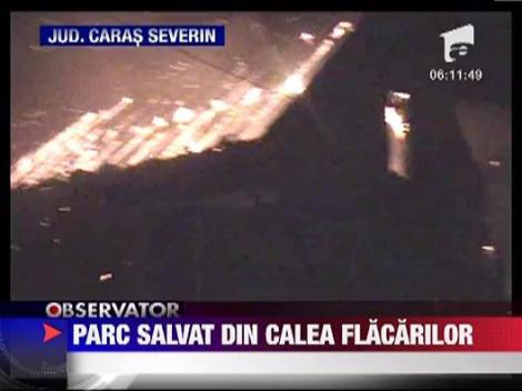 Incendiu in Parcul Natural Domogled