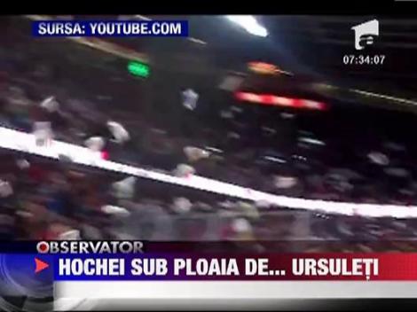 Ploaie de ursuleti de plus