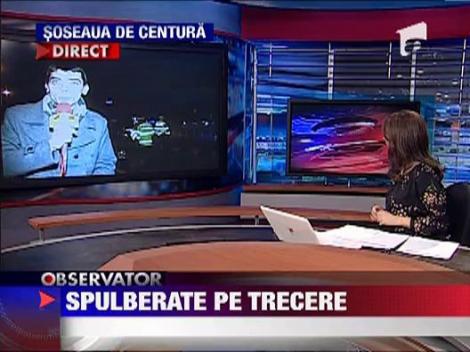 Tinere spulberate pe trecerea de pietoni