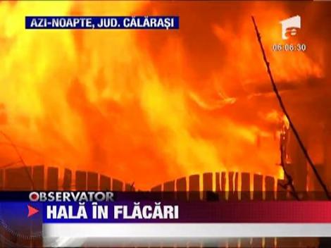 Un incendiu puternic a mistuit o hala, in Calarasi
