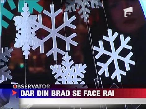 Cei mai deosebiti brazi de Craciun