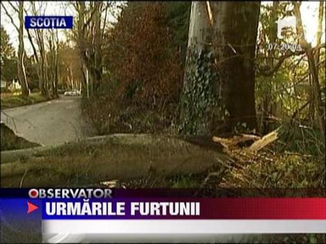 Urmarile furtunii din Scotia