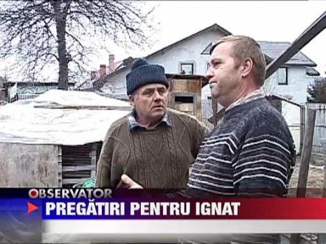 Targuri de animale de Craciun