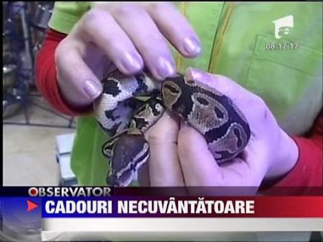 Magazinele de animale sunt la mare cautare de sarbatori