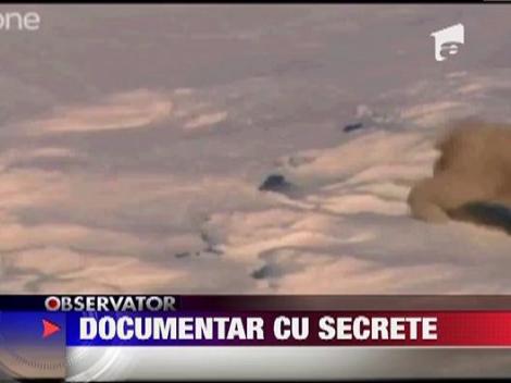 Documentar despre ursi polari