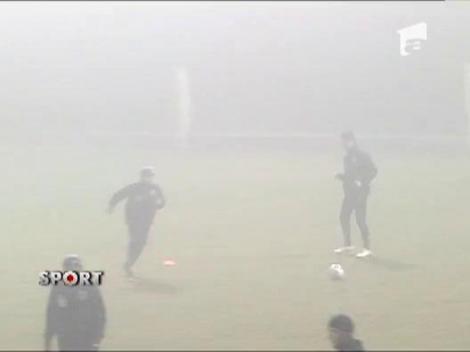 Ceata se lasa in ajutorul Stelei