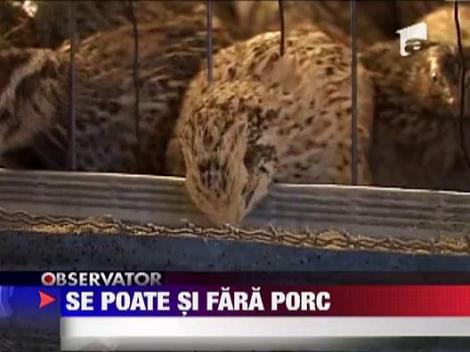 Alternativa la carnea de porc, pentru sarbatori