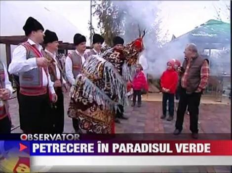 Petrecere faraonica la Corbeanca!