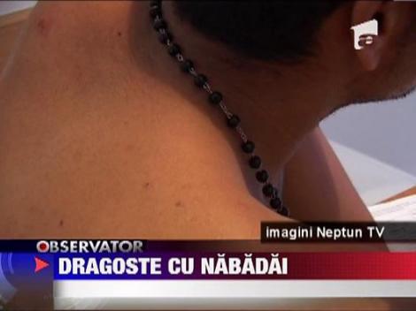 Dragoste cu nabadai in Constanta