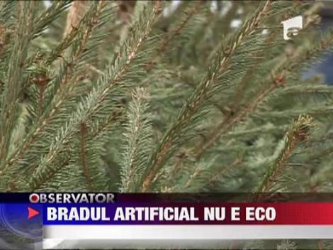 Bradul de plastic strica traditia si nu e ECO