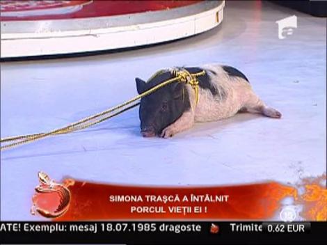 Simona Trasca a intalnit porcul vietii ei!