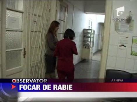 Focar de rabie in Judetul Dambovita
