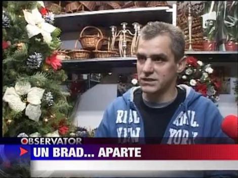 Brad gata impodobit pentru Craciun