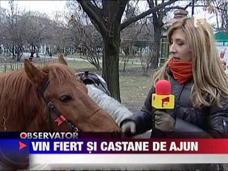 Mos Craciun, asteptat cu vin fiert si castane