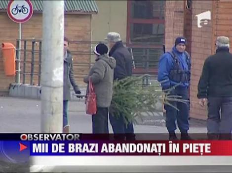 Mii de brazi abandonati in piete