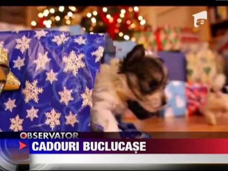 Catelusi pe post de cadouri de Craciun