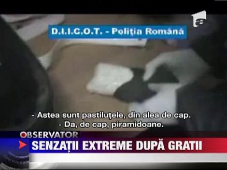 Traficanti de ecstasy prinsi de mascati