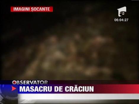 Cruzime de Craciun! Zeci de caini au fost ucisi, la Targu Jiu‎