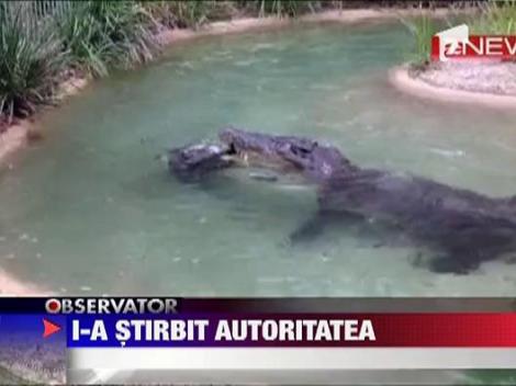 Un crocodil dintr-o gradina zoologica din Australia a ramas stirb
