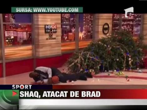 Shaquille O'Neal, atacat de bradul de Craciun!