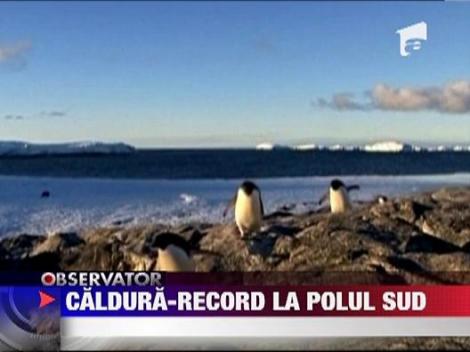 Caldura-record la Polul Sud