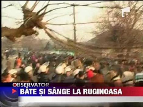 UPDATE / Traditia s-a transformat in razboi sangeros la Ruginoasa