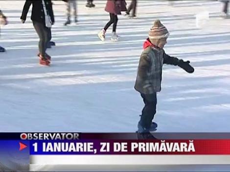 1 ianuarie, o frumoasa zi de primavara
